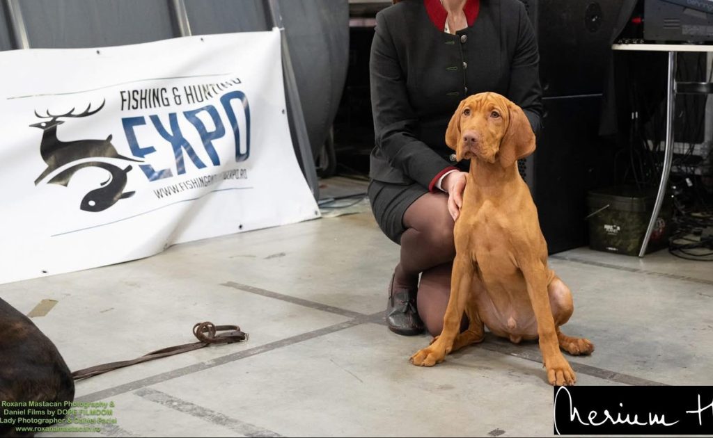 Fishing and Hunting Expo_Nerium House Kennel