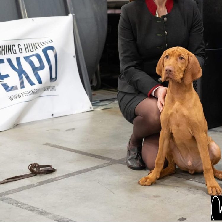 Fishing and Hunting Expo_Nerium House Kennel