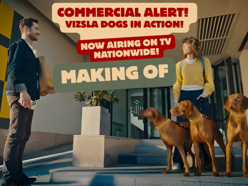 Making of_In order of appearance Amulett, Brisa, Botond (Boti) of Nerium House_Thumbnail